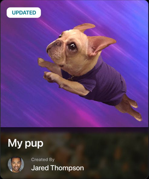 Photo of a user's dog